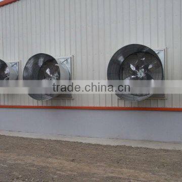 Cone fan for automatic swine farm
