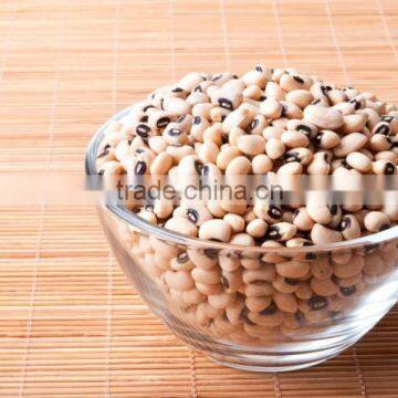 ALL PULSES