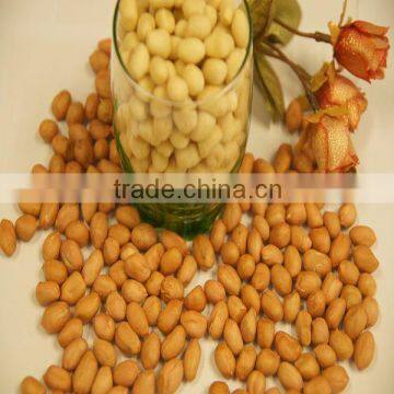 Chinese 25/29 blanched groundnut kernels for sale