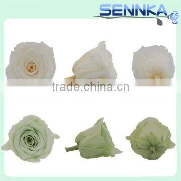 Preserved fresh flower home decoration wedding gifts wholesale