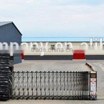 Export American Type Sunflower Seeds photo-5