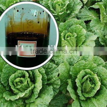 China Supplier Liquid Root Organic Fertilizer for Agriculture photo-3