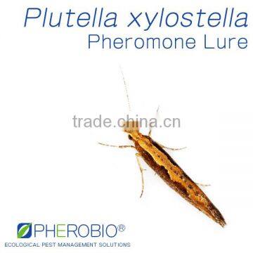 Pheromone Lure for Plutella xylostella (Diamondback Moth), Sex Pheromone Bait & Pheromone Trap for Plutella xylostella