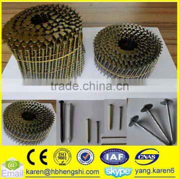 Umbrella Head Iron Nails, Galvanized Nails, Iron Nails,coil Nails, Nails Supplier photo-4