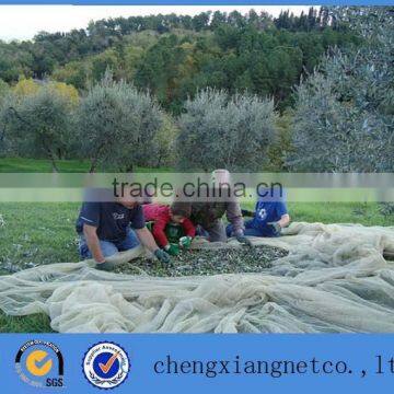 agriculture plastic olive picking net