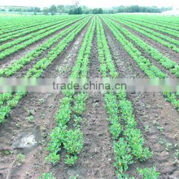 6 Rows Disc Type Minimum Tillage Seeder for South Africa Market photo-5