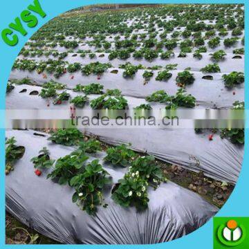 ground cover/black-silver strawberry mulch film