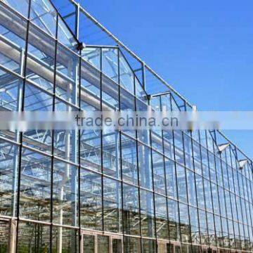 Glass Greenhouse-2