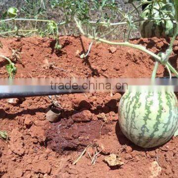 High Quality Drip Irrigation System for Farm photo-6