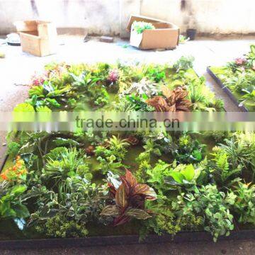 Home garden wedding decoration 200cm*100cm green original succulent with moss carpet grass wall E03 0506