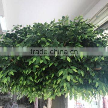Ornamental Plants Artificial Banyan Tree Large Outdoor Artificial Trees in Factory Price photo-6