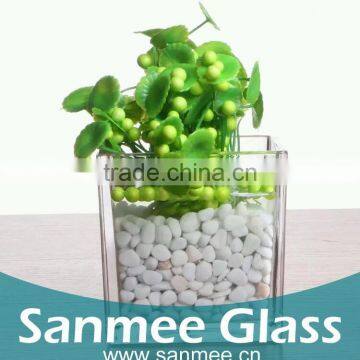 Square Clear Transparent Glass Flowerpot