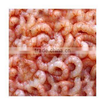 Frozen PUD Red Shrimp