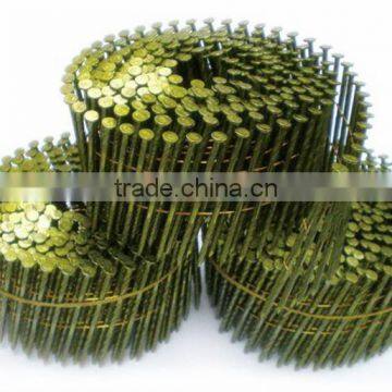 Polished Coil Roofing Nails From Guangzhou Supplier photo-2