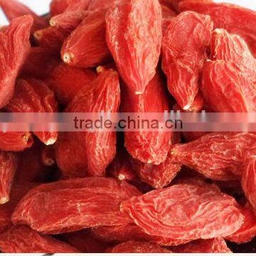 High Quality Organic Herbal Tea Bulk Dried Goji Berry photo-4