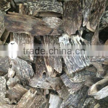 Gaharu, Agarwood Chips or Oud Wood Chips the Best Seller in Vietnam photo-2