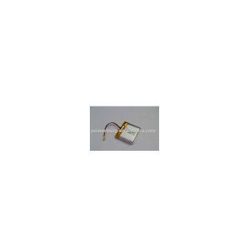 Lithium Polymer Rechargeable Batteries