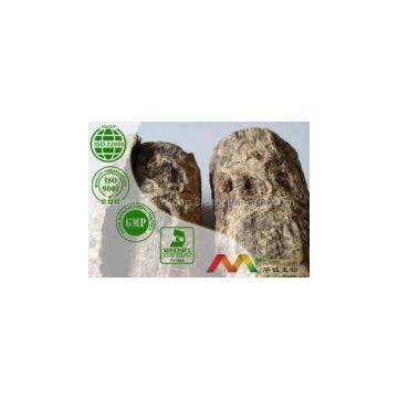 Magnolia Bark Extract