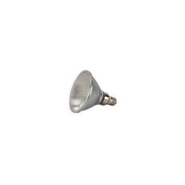 E27 led PAR light
