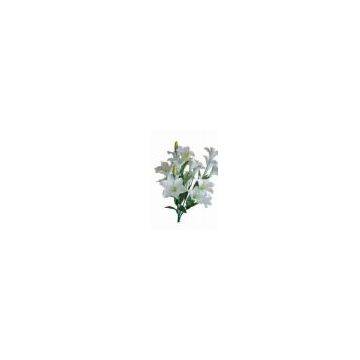 Supply 5 Man-made Flower City homotopy Import 3