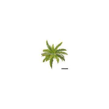 Artificial Plants
