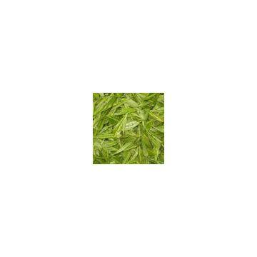 Green Tea P.E.