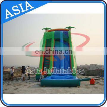 Outdoor Commercial Inflatable Water Slide With Pool, Used Playground Water Slide For Kids and Adult photo-2