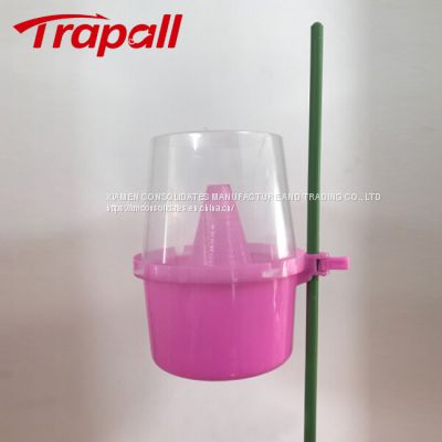 Outdoor Plastic Hanging Pheromone Lure Fruit Fly Bottle Trap