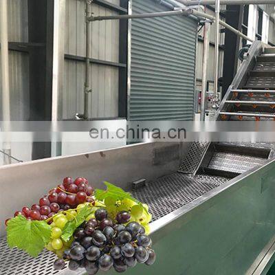 Manufacture Fruit Juicer Extractor and Processing Machine Production Line photo-4