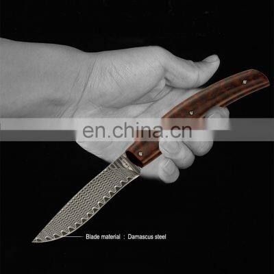 New design Damascus steel folding knife outdoor essential camping stainless steel pocket knife with wood handle