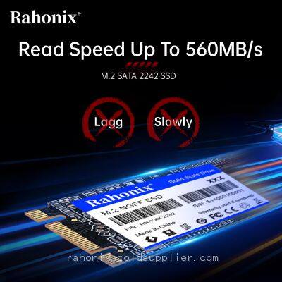RN Series M.2 SATA 2242 SSD, Read Speed up to 560MB/s photo-3