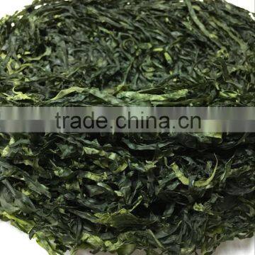 AD Drying Bright Green Color Shredded Seaweed Dried Kelp Slice