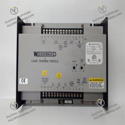 Woodward 9907-838 Lastaufteilungsmodul