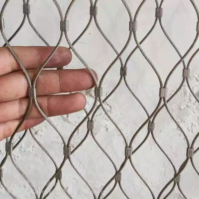 Flexible Architectural Inox Cable Safety Mesh SS316 Stainless Steel Wire Rope Net for Climbing Plants, Green Wall Grid
