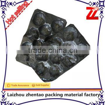 Plastic Material and PVC or PET Plastic Type PVC Fruit Packaging Tray
