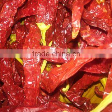 indian dried red chilli