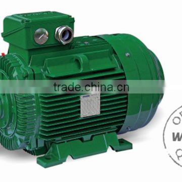 Three phase premium efficiency asynchronous cast Iron motor IE2