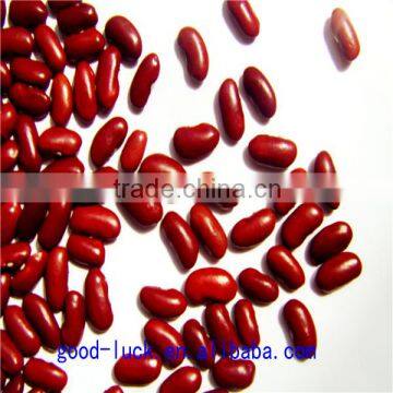 dark red kidney beans(heilongjiang)