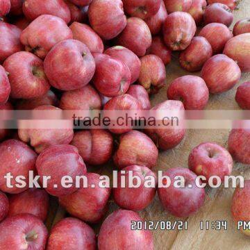 fresh fruit for sale