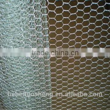 (Anping Manufacturer) Hexagonal Wire Mesh (Chicken/Rabbit/Poultry Wire)