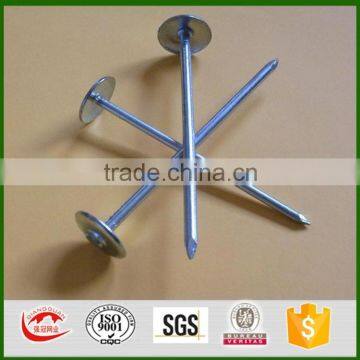 BWG9 BWG10 umbrella head ROOFING NAILS export to Africa and Myanmar Indonesia