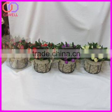 Bulk Wholesale Plastic Garden Flower Pot photo-6