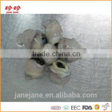 Frozen Squid Beak - Ommastrephes Bartrami photo-2