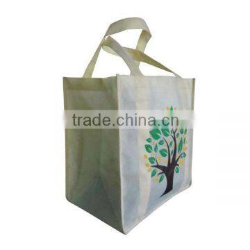 Cheap Grocery Bag with Non Woven Fabric