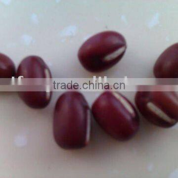 Small Red Beans( Heilongjiang origin,2010 crop,hps)