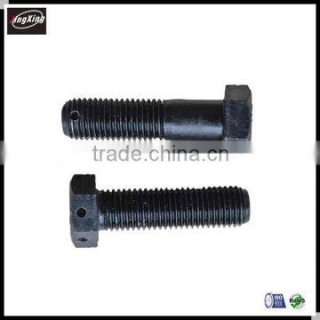 Customized Hex Bolt With Hole in Head or End