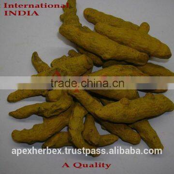 Turmeric Fingers Whole Spice / Turmeric / Curcuma Longa Fingers photo-2