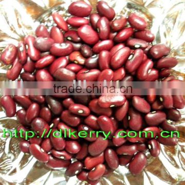 Crop 2015 Chinese Small Red Kidney Beans