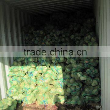 Semi Husked Coconut, Best Quality, Cheap Price photo-4