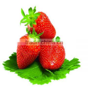 Healthy and Delicious Strawberry Chocolate Snack Food61